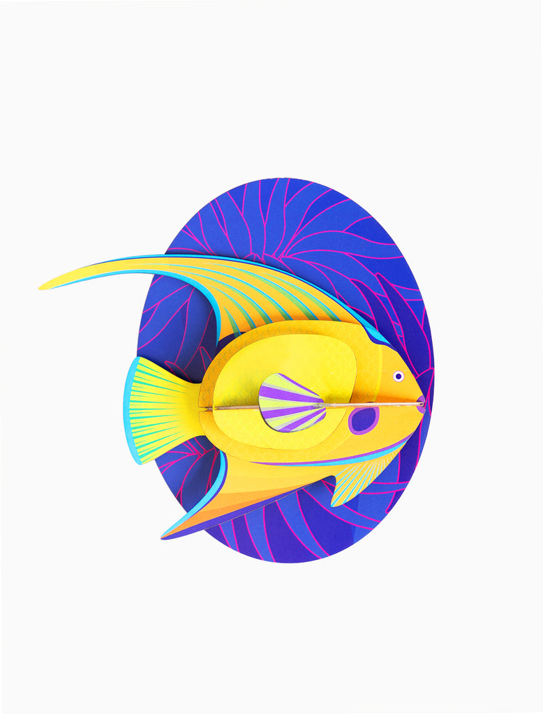 Yellow angelfish